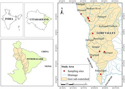 Dry matter dynamics and carbon flux along riverine forests of Gori valley, Western Himalaya